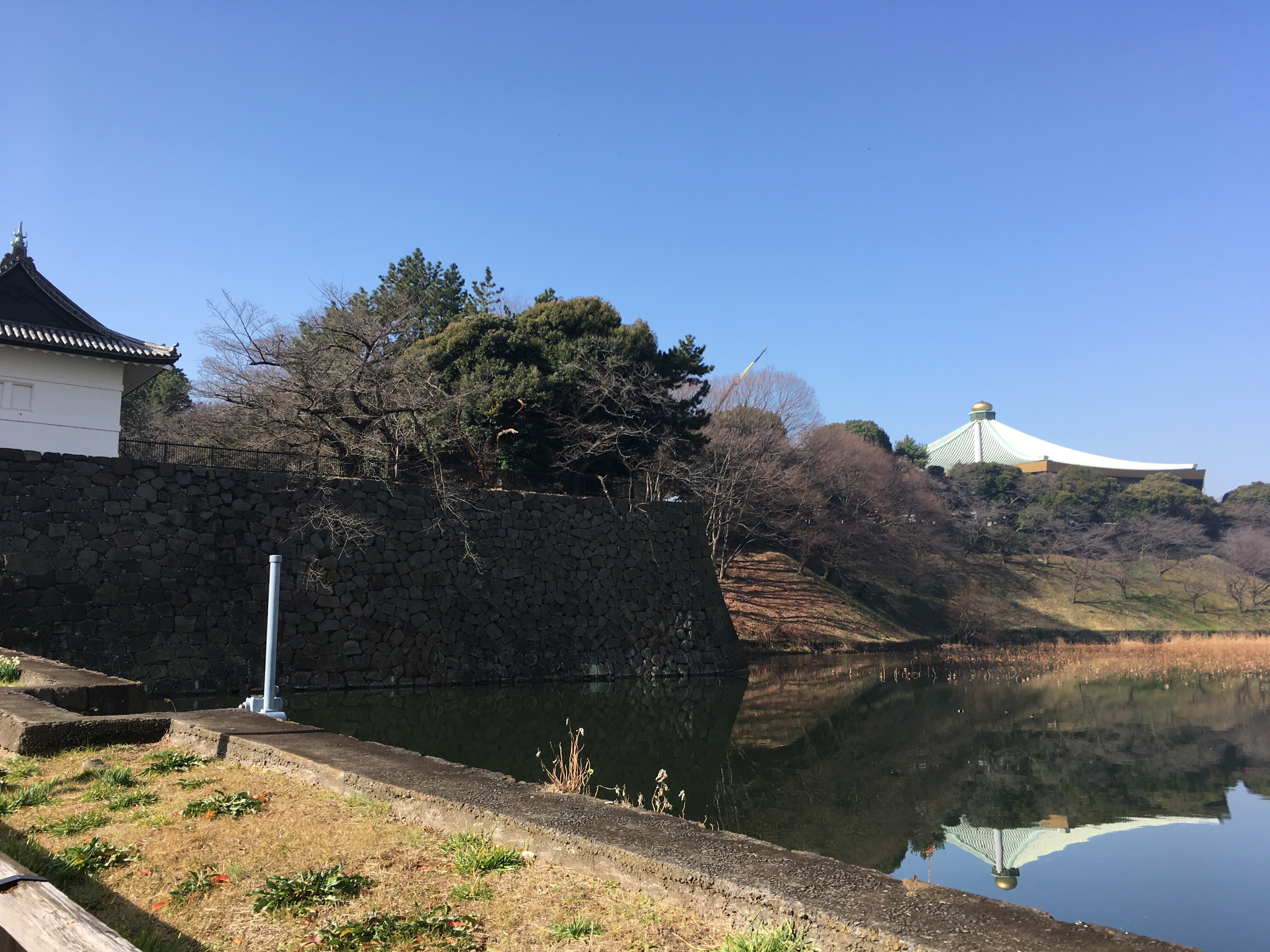 清水濠から武道館を眺める