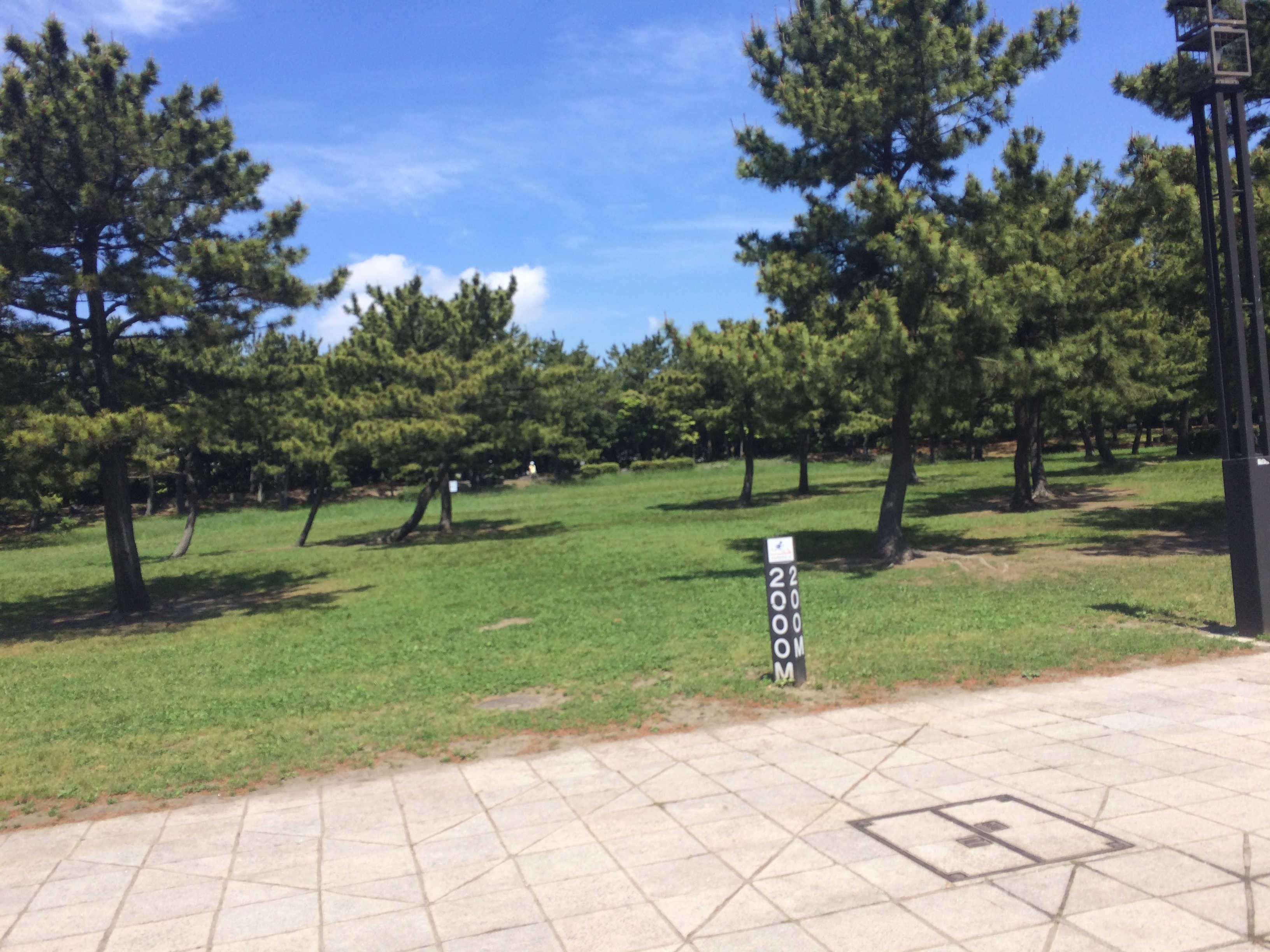 横浜市金沢海の公園ジョギングコース
