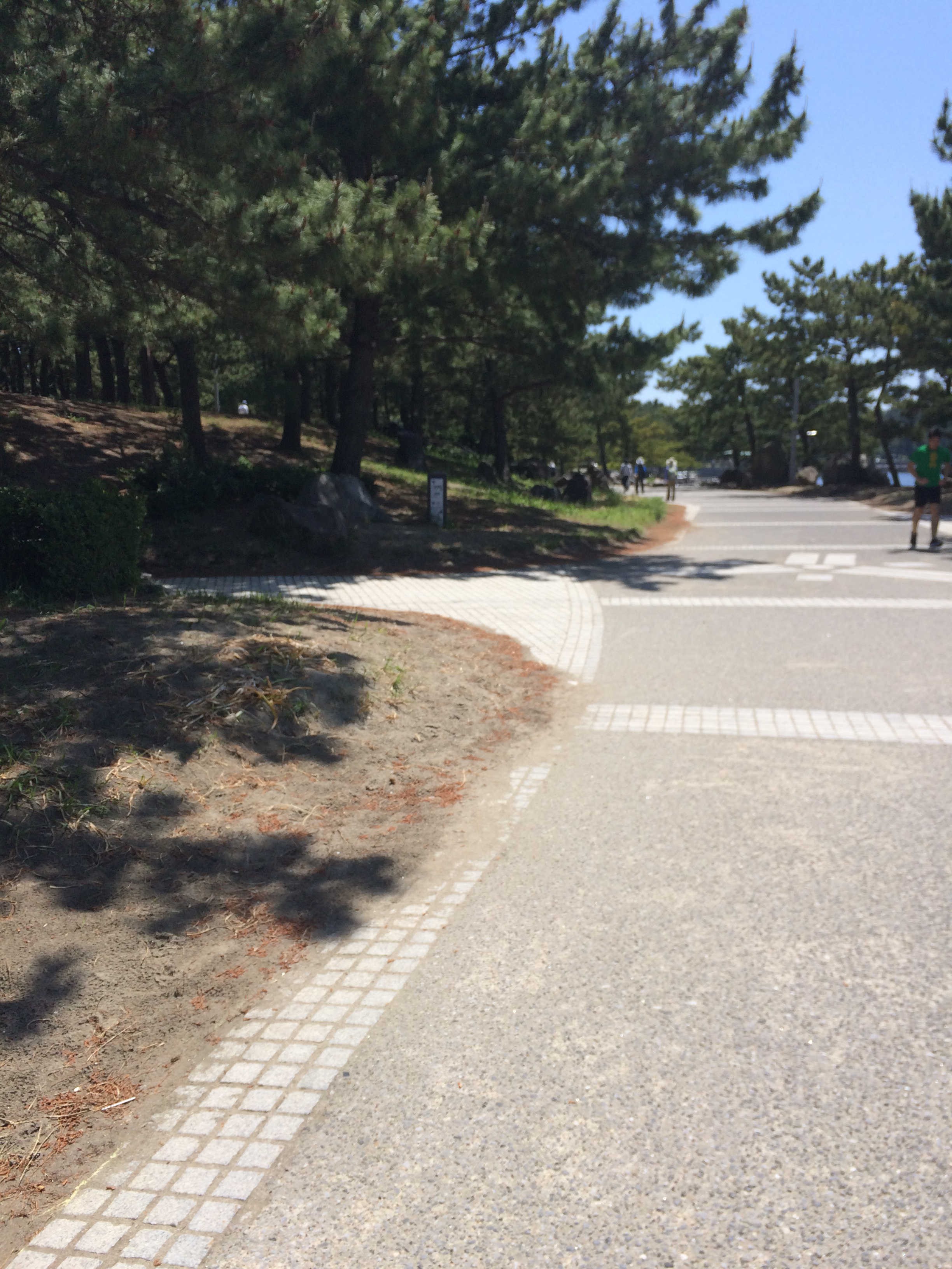 横浜市金沢海の公園ジョギングコース