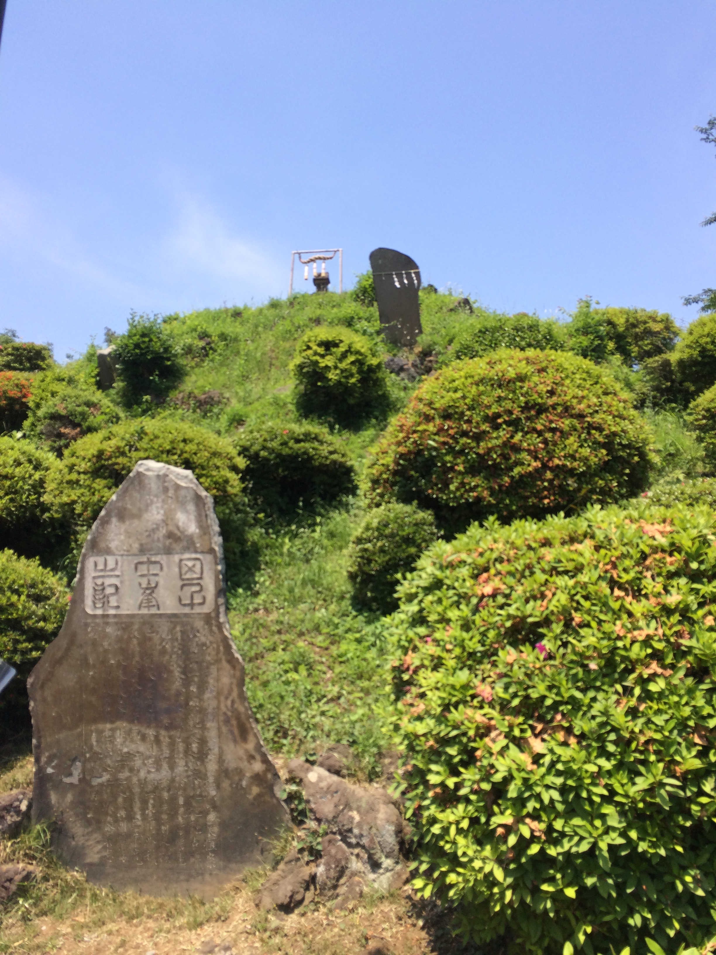敷島神社（田子山富士塚）