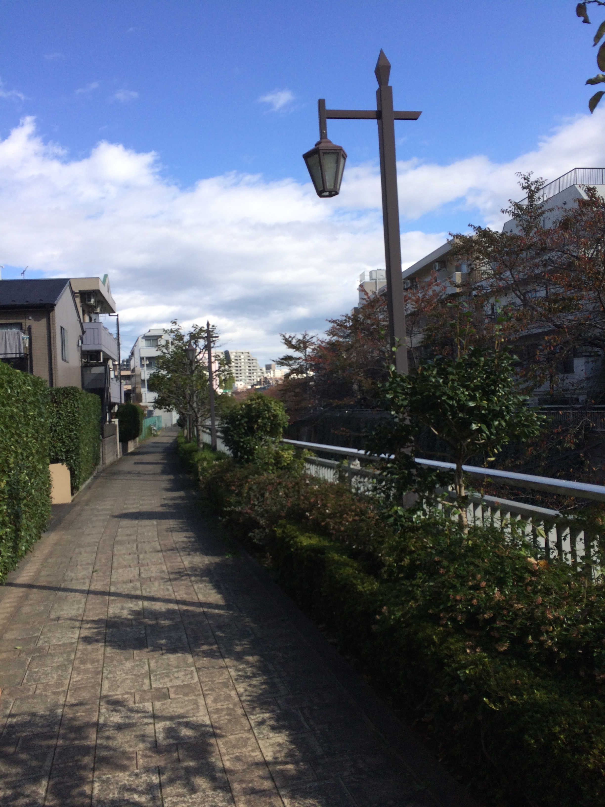 神田川遊歩道