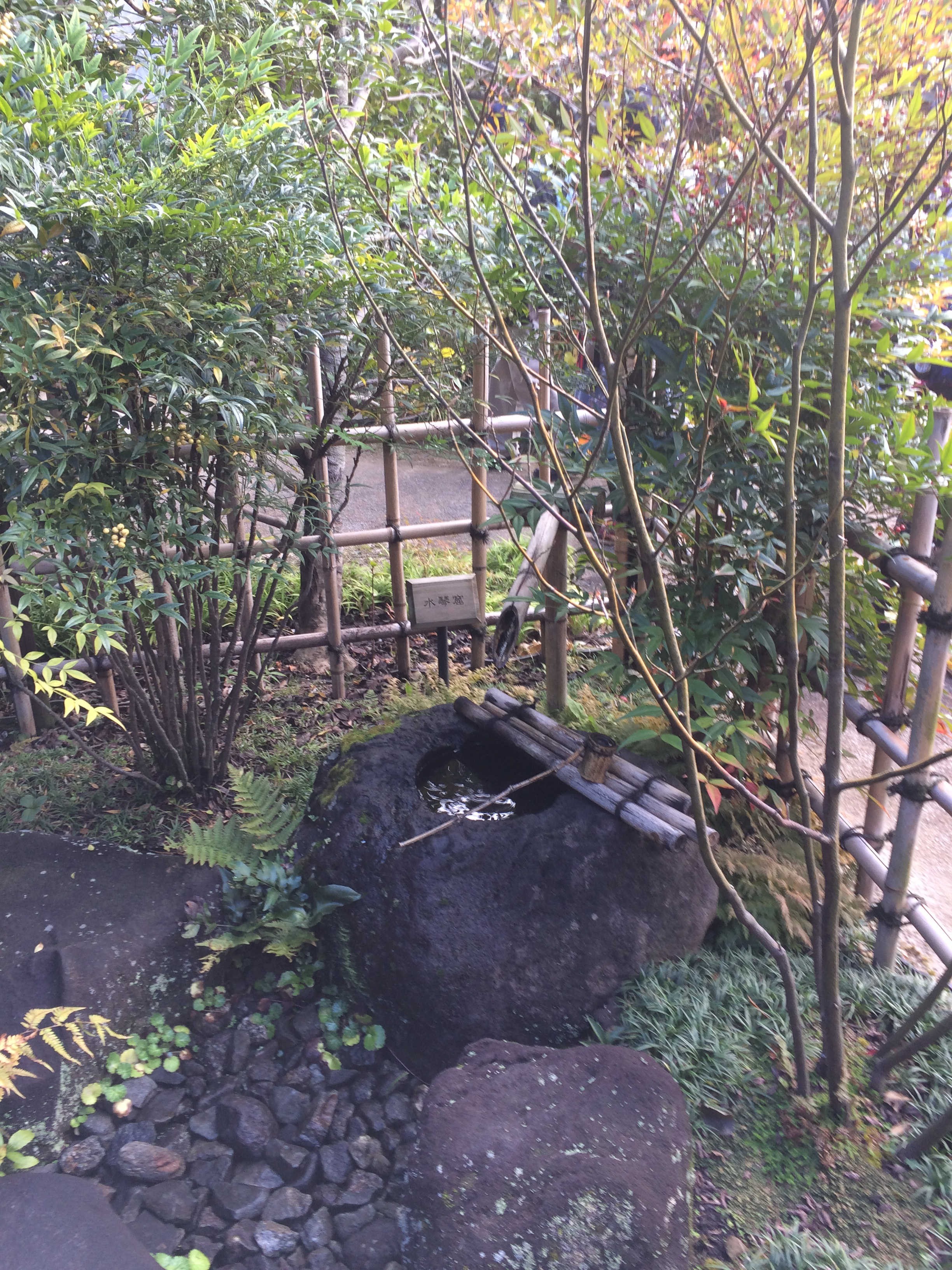 高尾駒木野庭園  