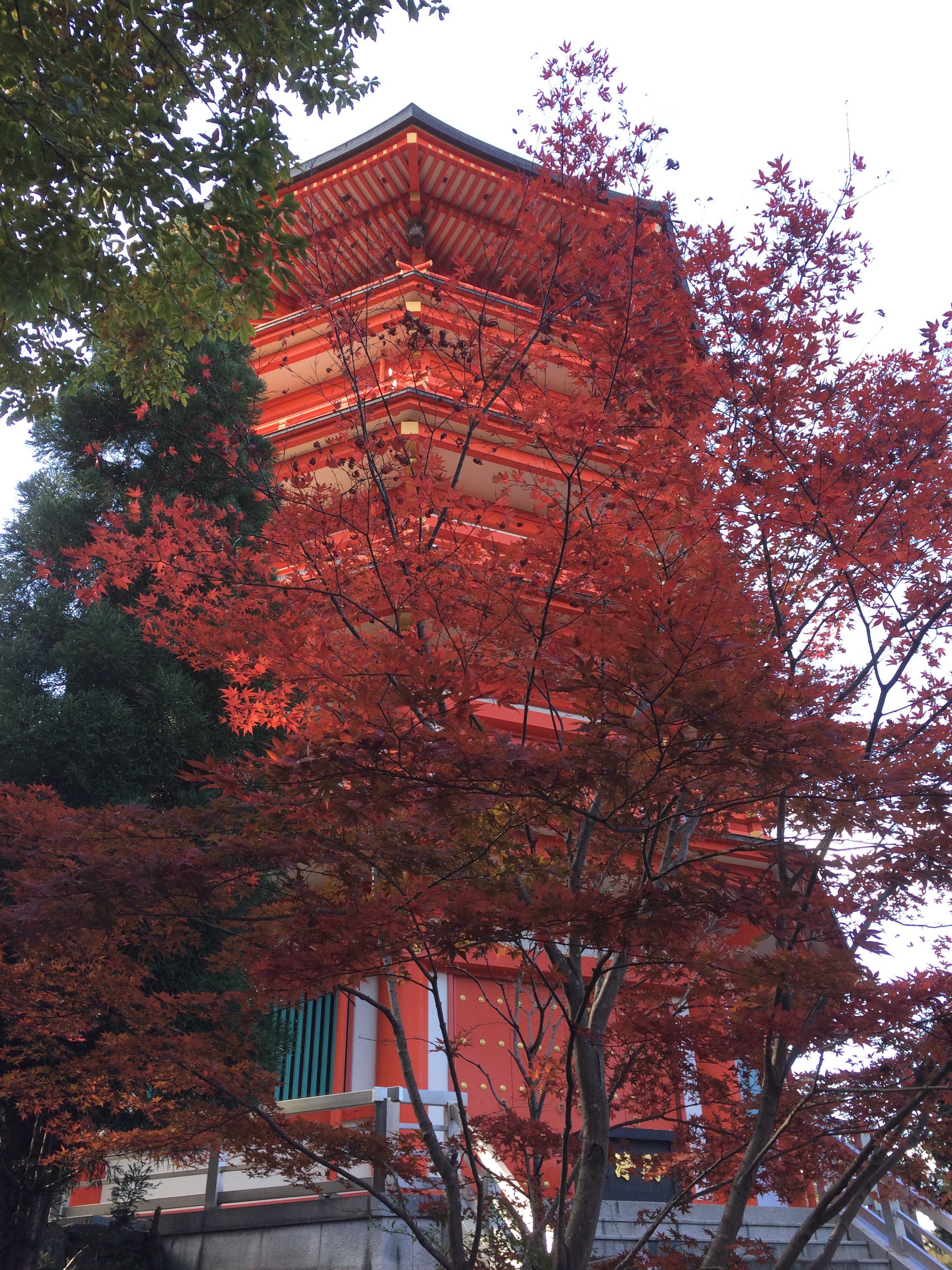 奥之院五重塔と紅葉