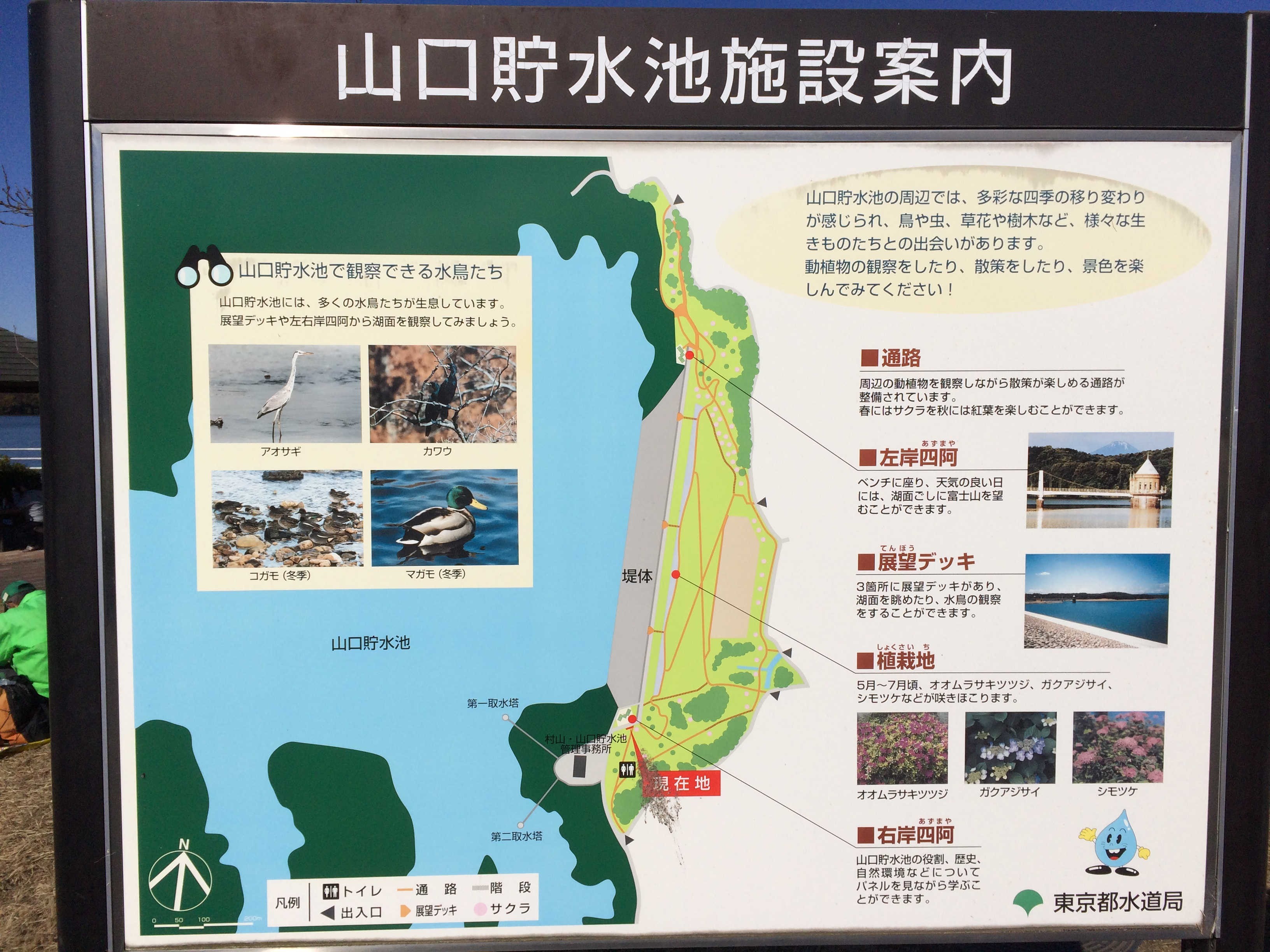 県立狭山自然公園