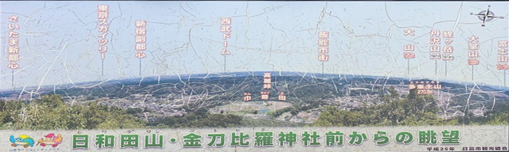 日和田山・金刀比羅神社からの眺望
