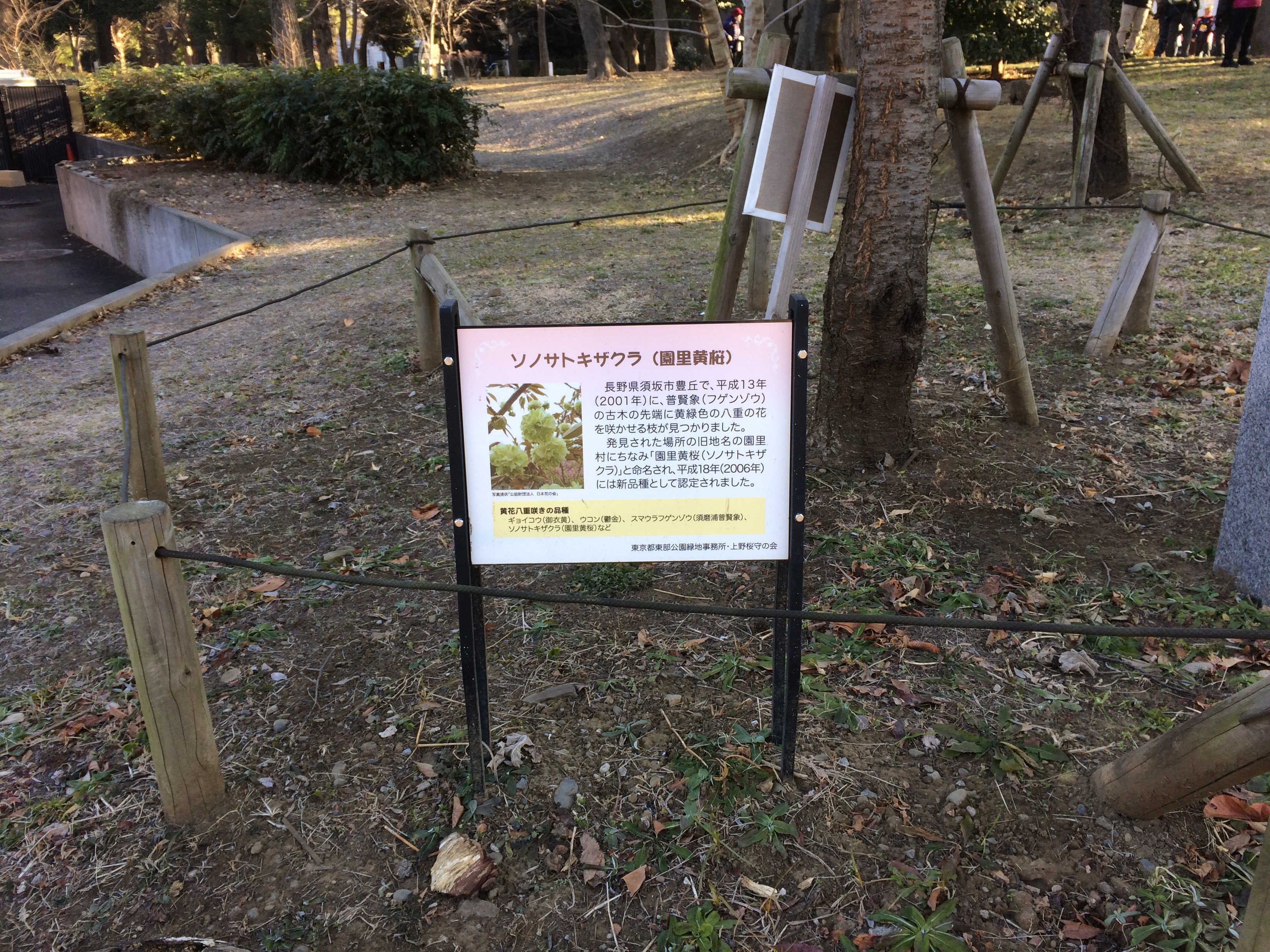上野公園上野動物園前交番横（スタート）