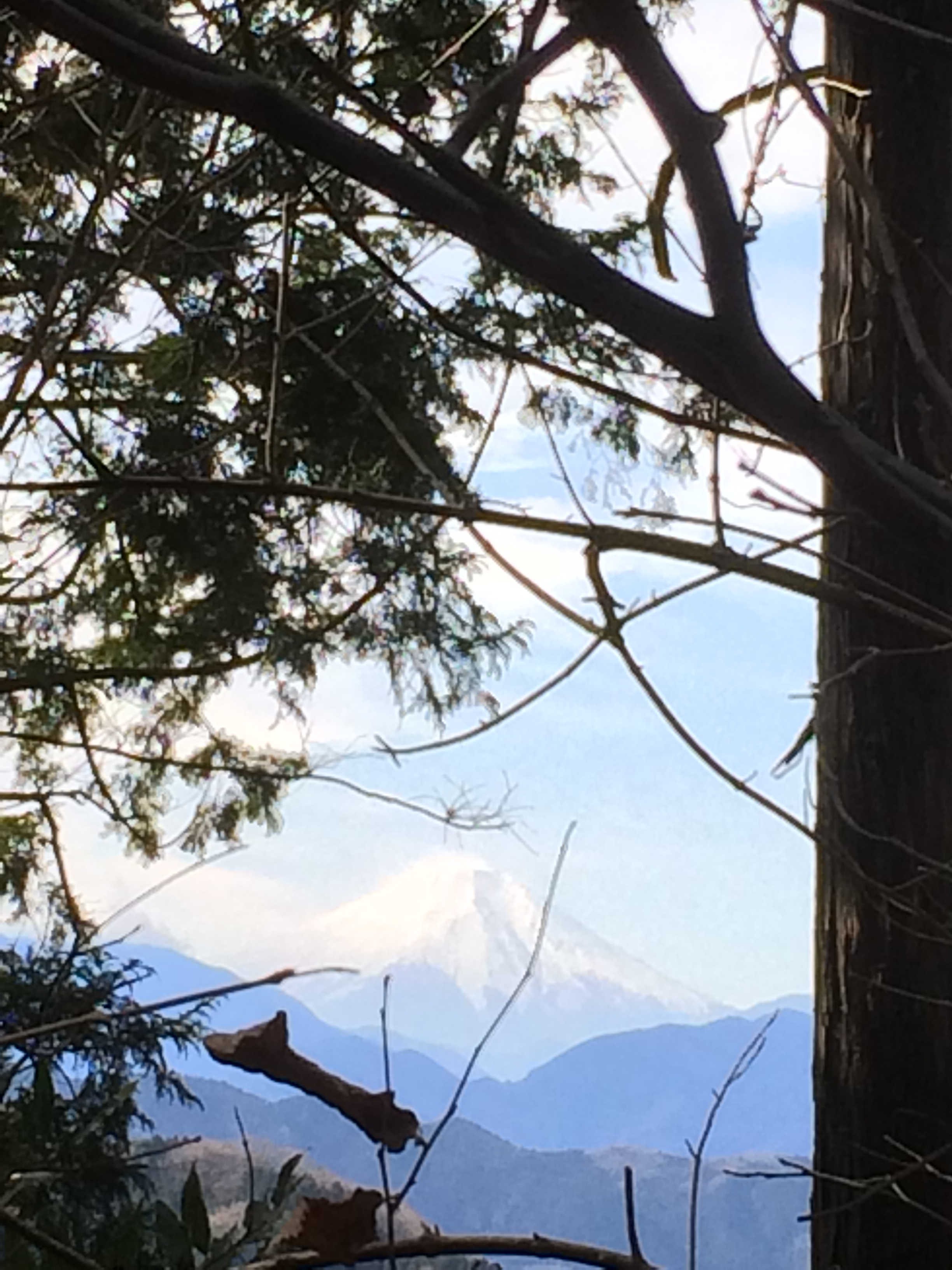 稲荷山コースから富士山を望む