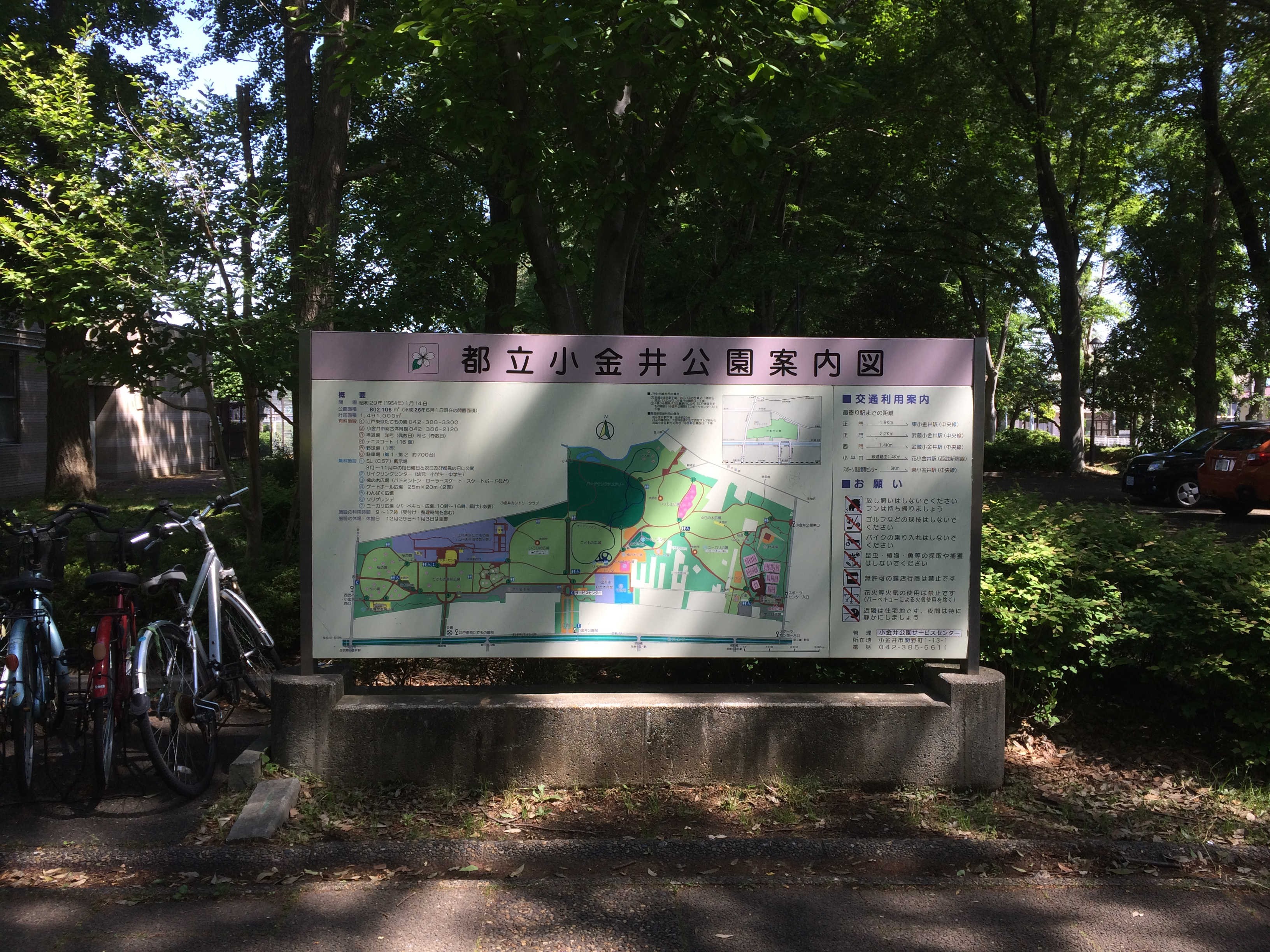   小金井公園（スタート）  