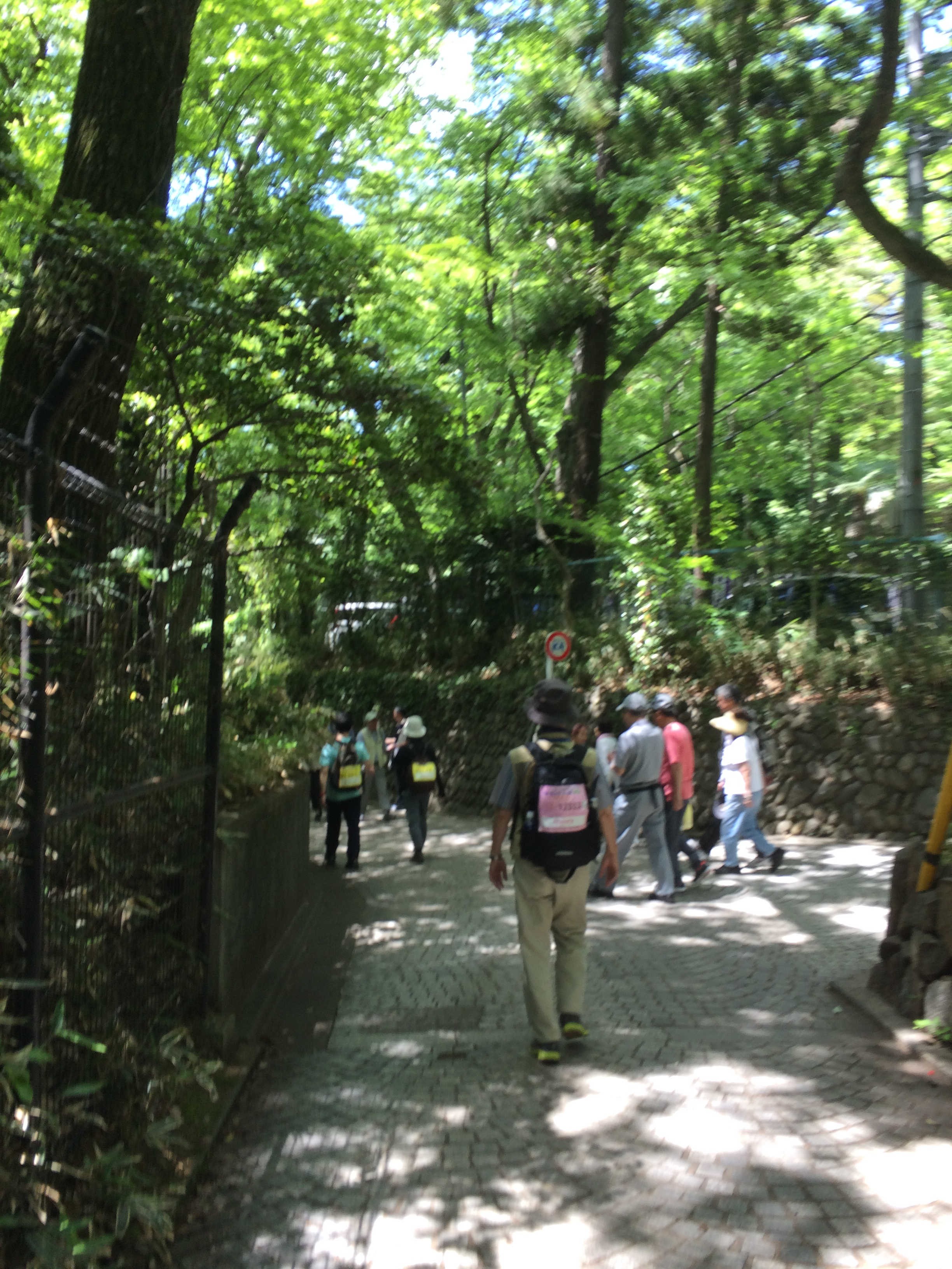 東京都立神代植物公園