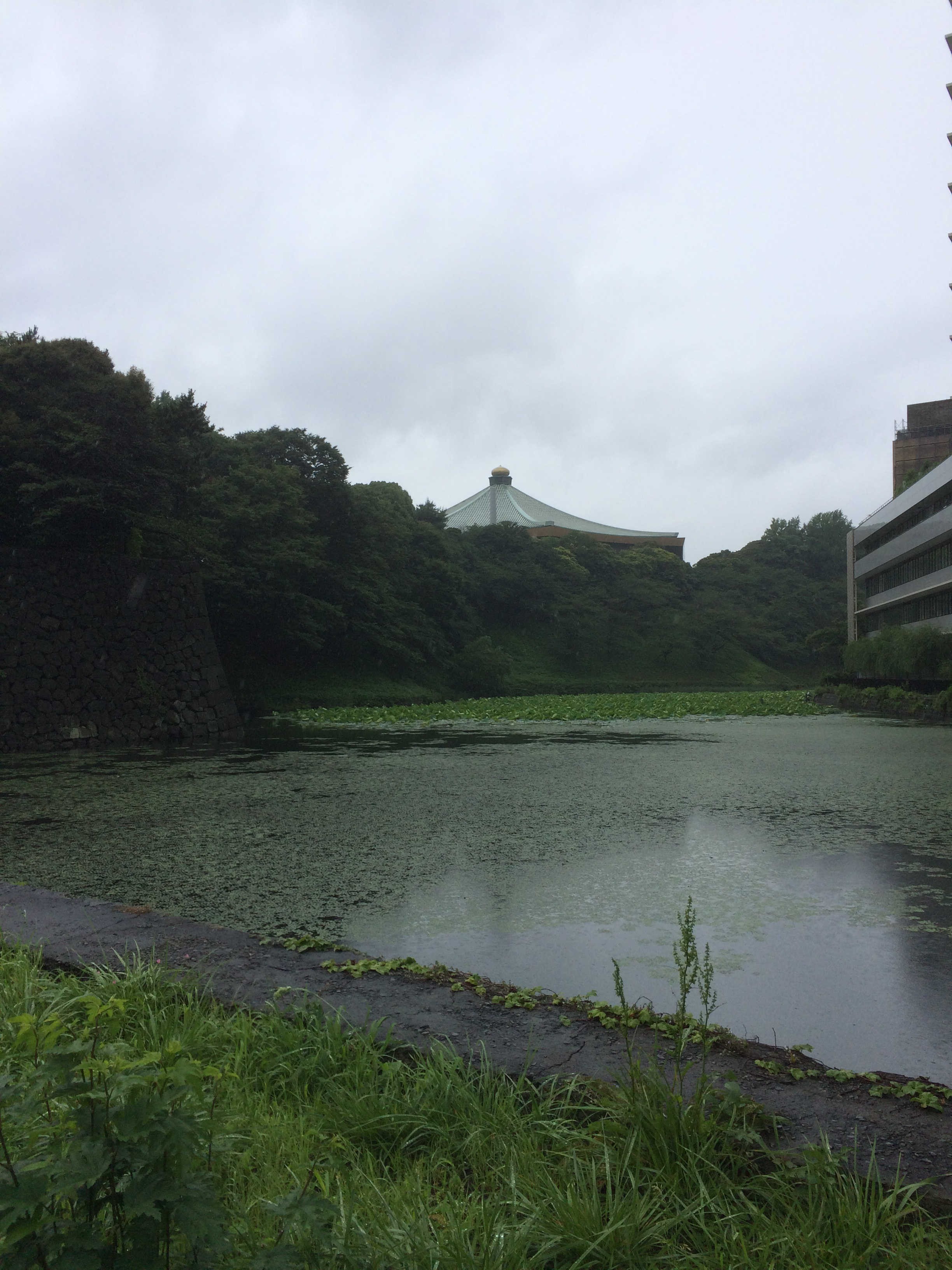 清水門入口から日本武道館の景観