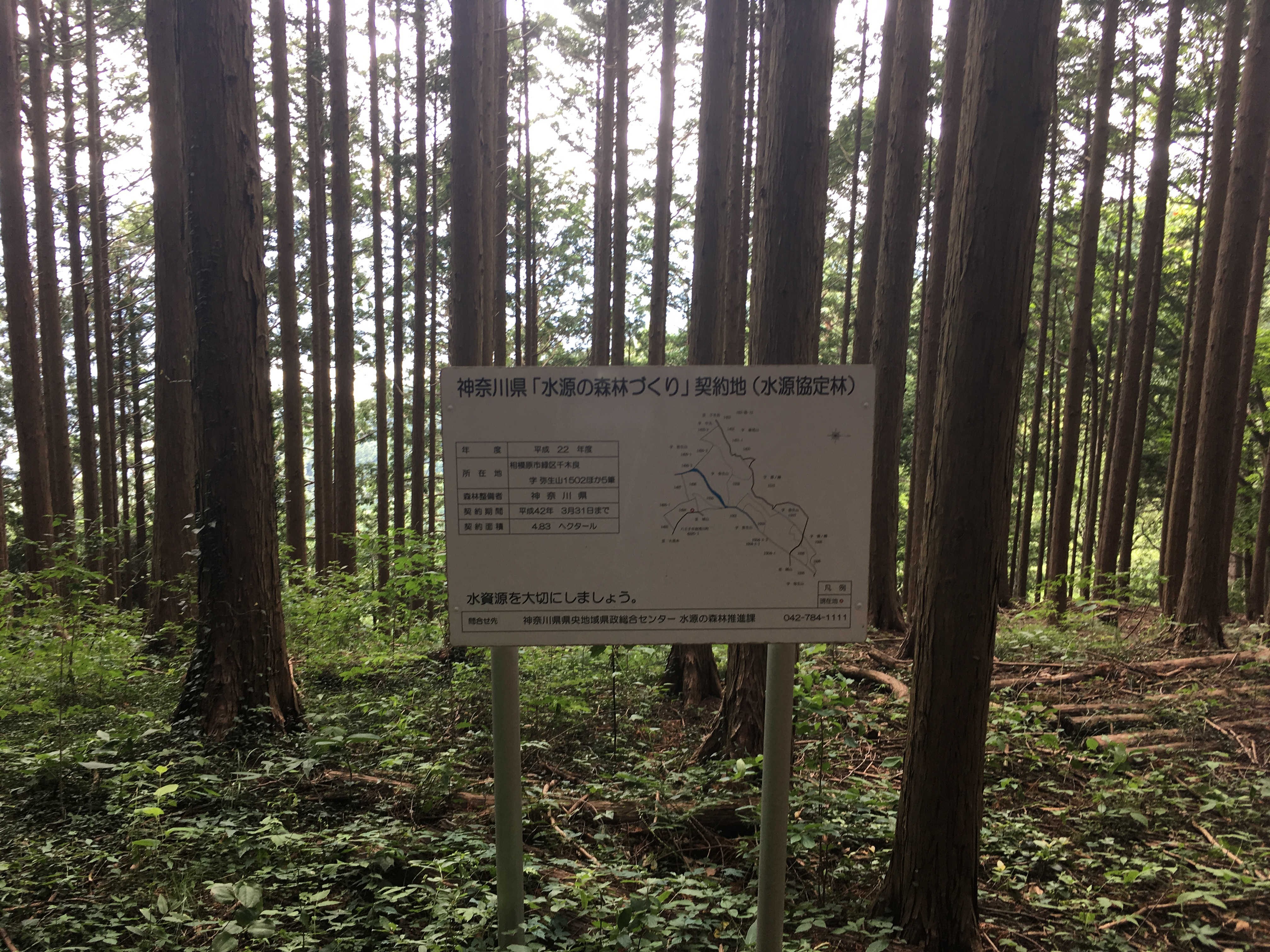 神奈川県「水源の森林づくり」契約地（水源協定林）