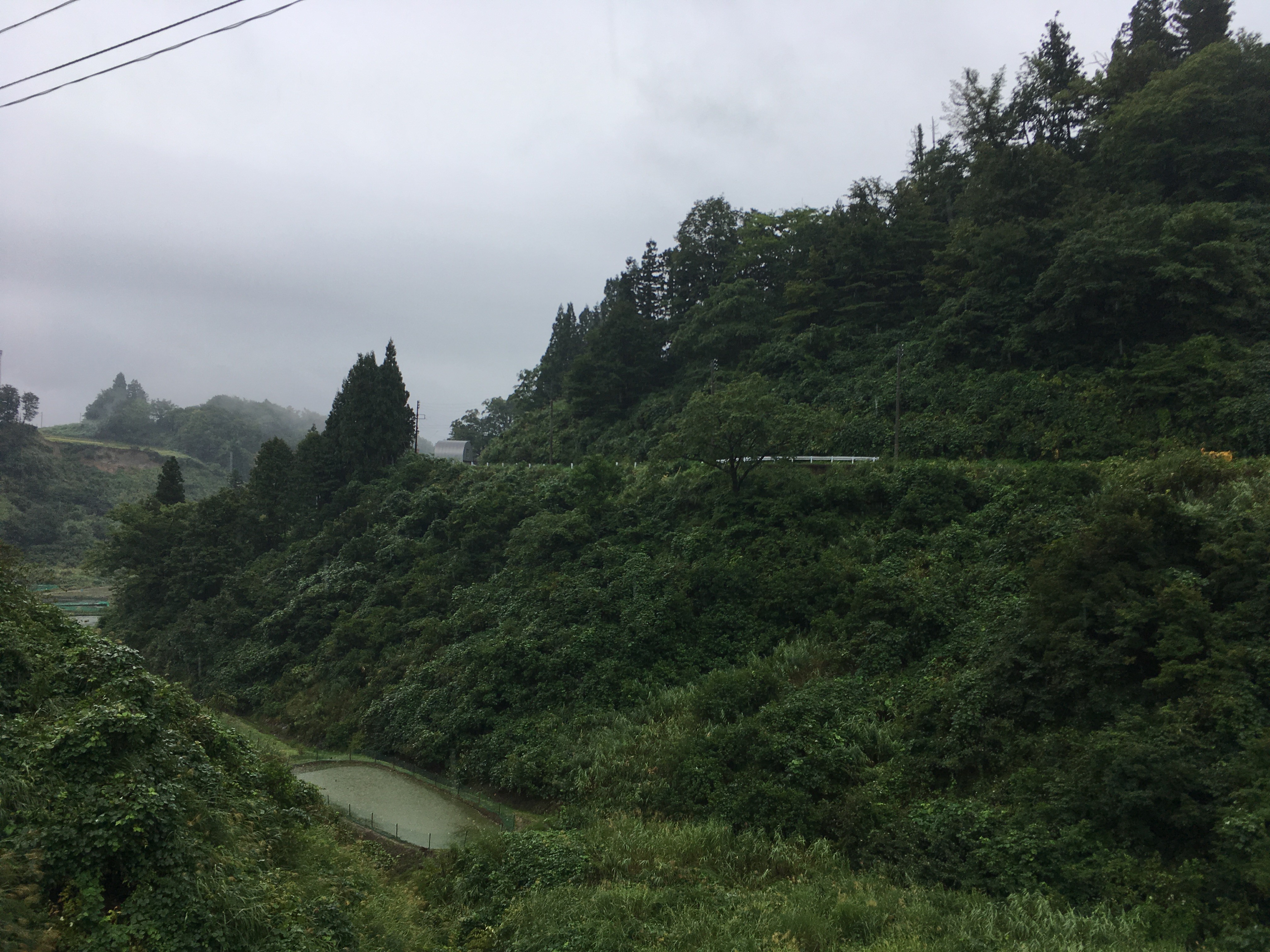 新潟県道23号山古志東竹沢線からの風景