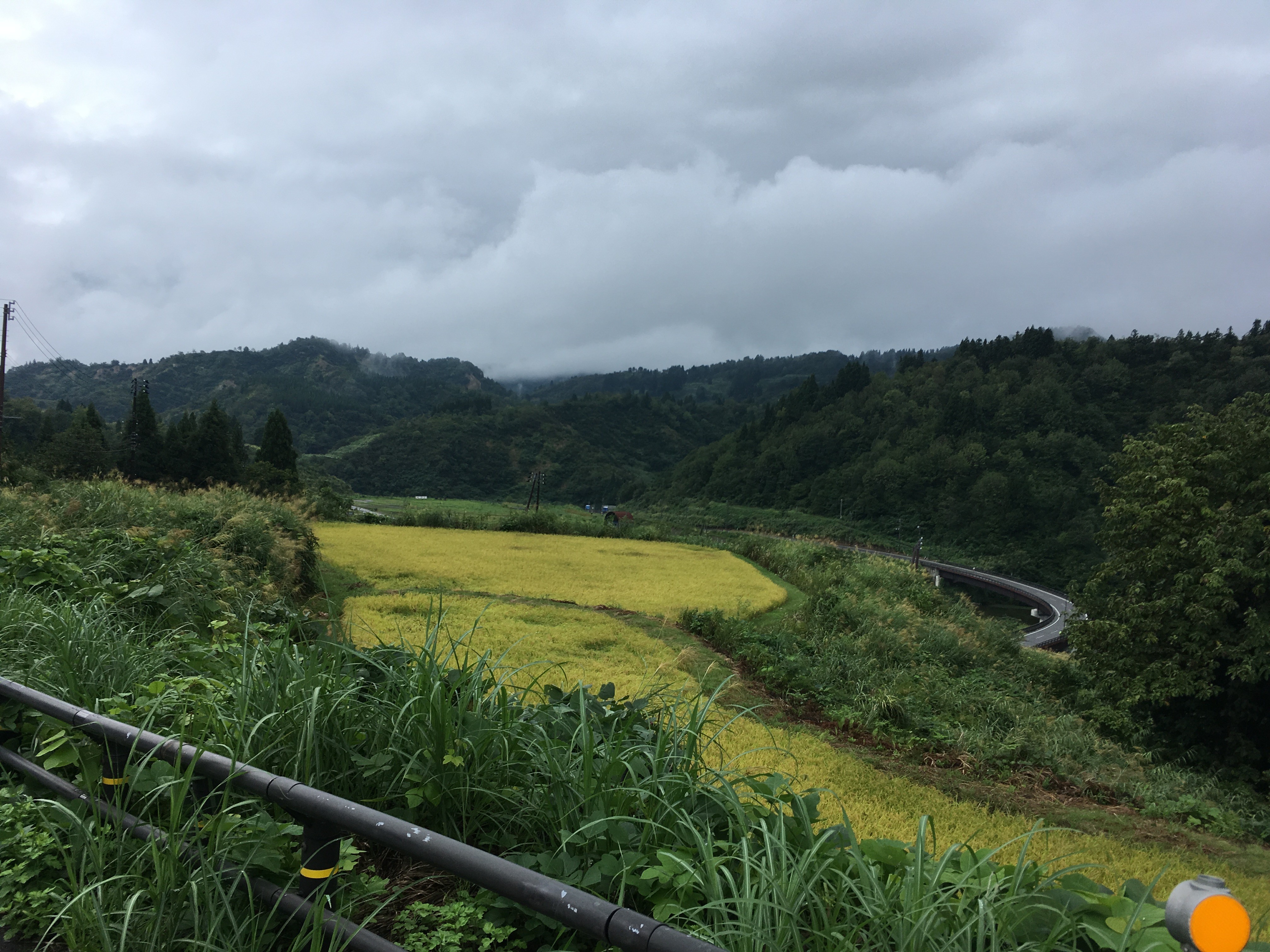 新潟県道23号山古志東竹沢線からの風景