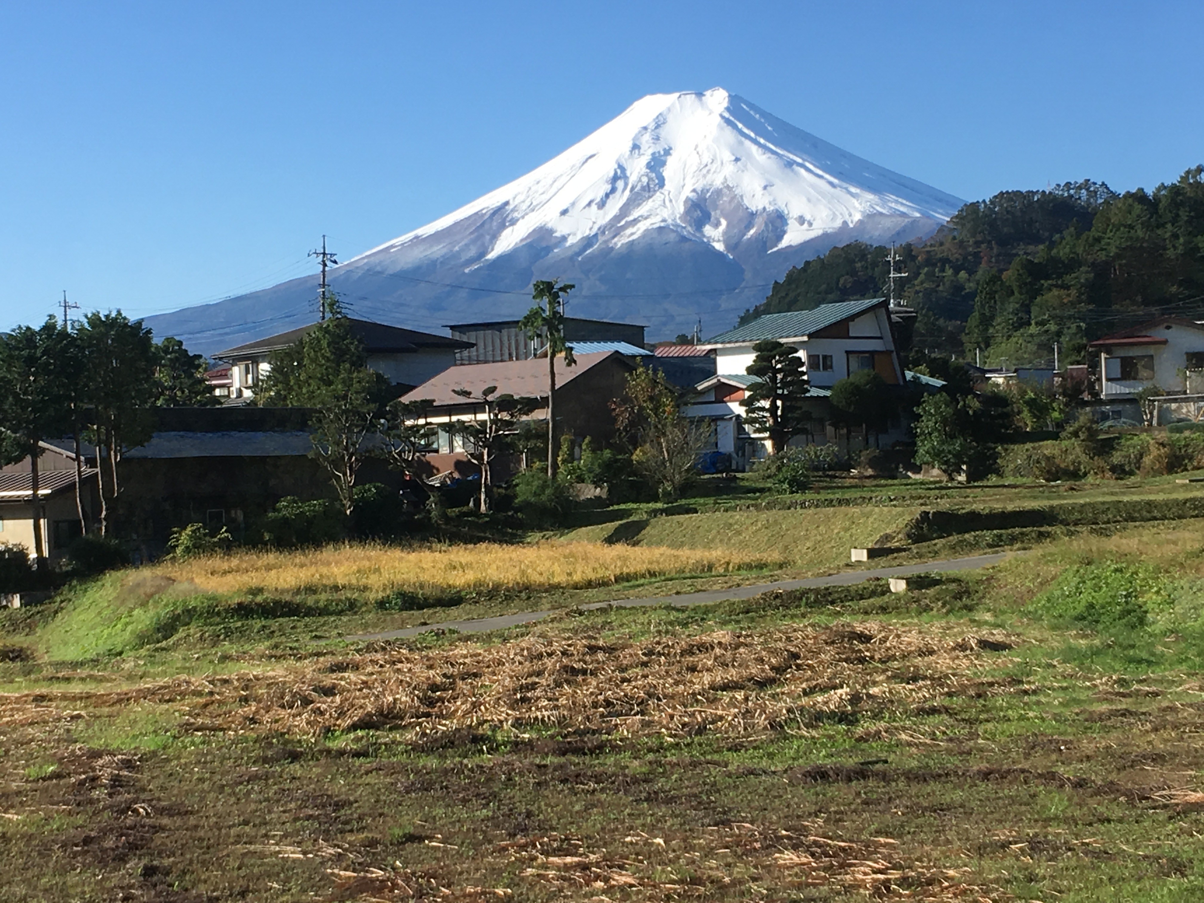 富士急行線車内（富士吉田市上暮地６丁目周辺）から富士山を望む