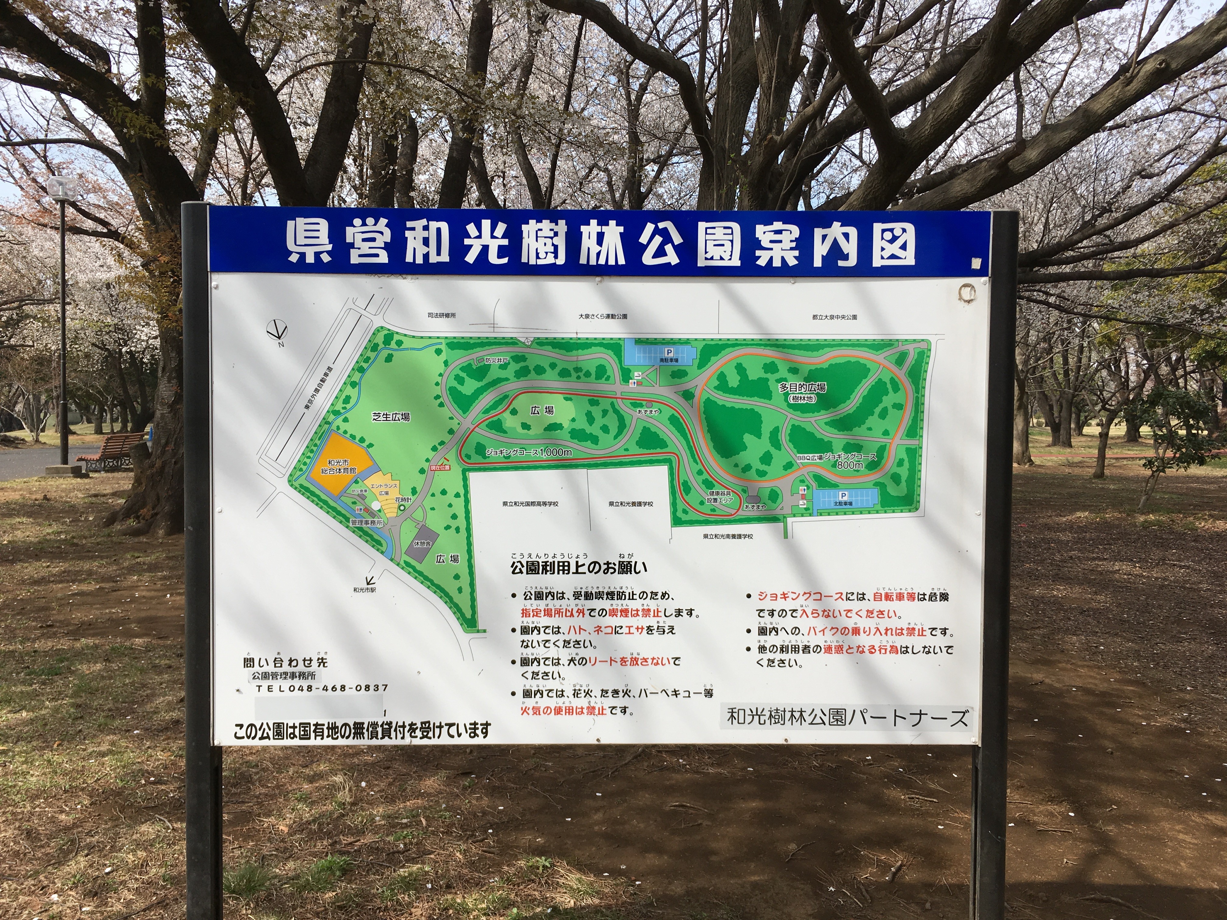 埼玉県営和光樹林公園