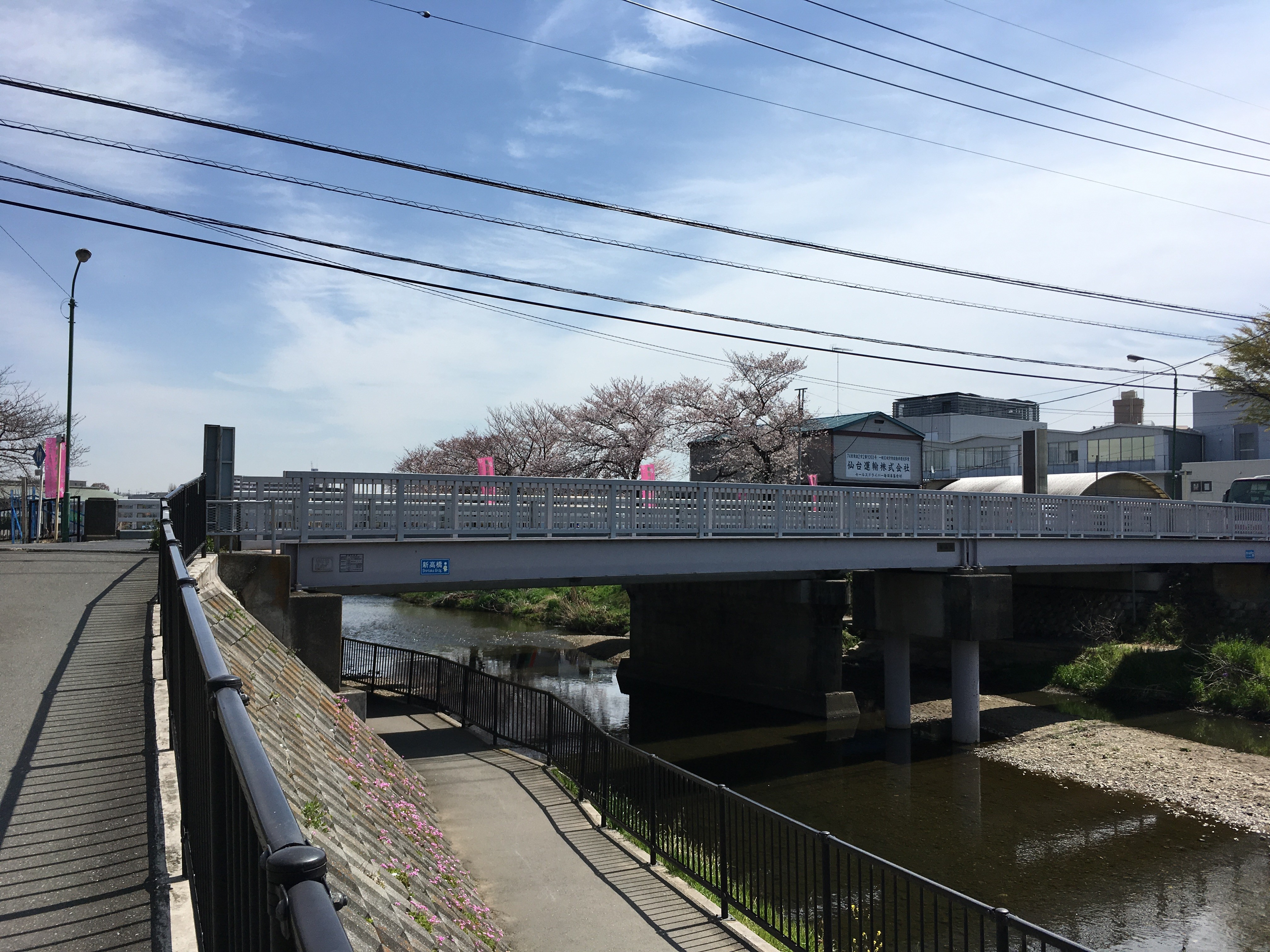 黒目川遊歩道の新高橋