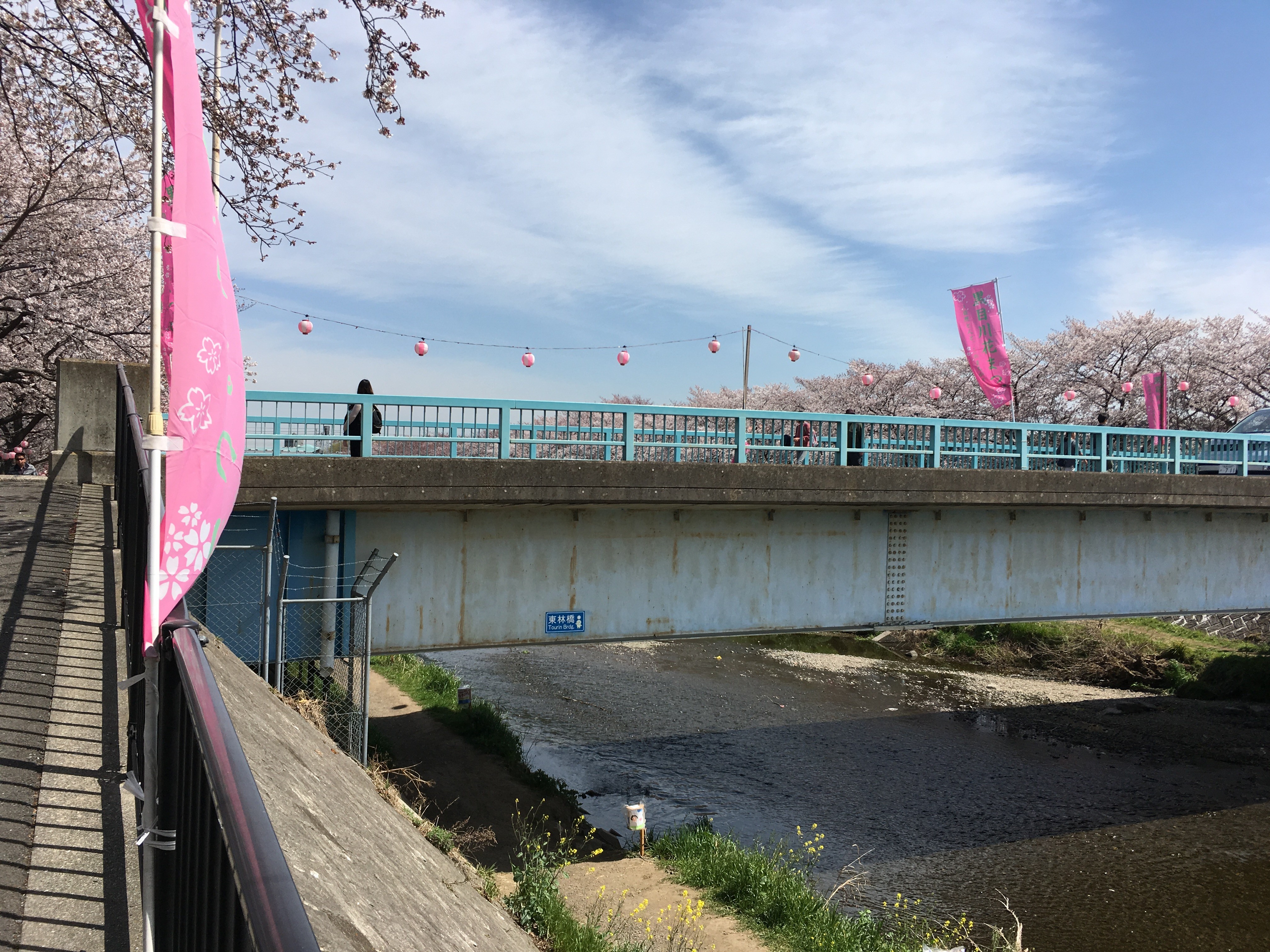 黒目川遊歩道の東林橋