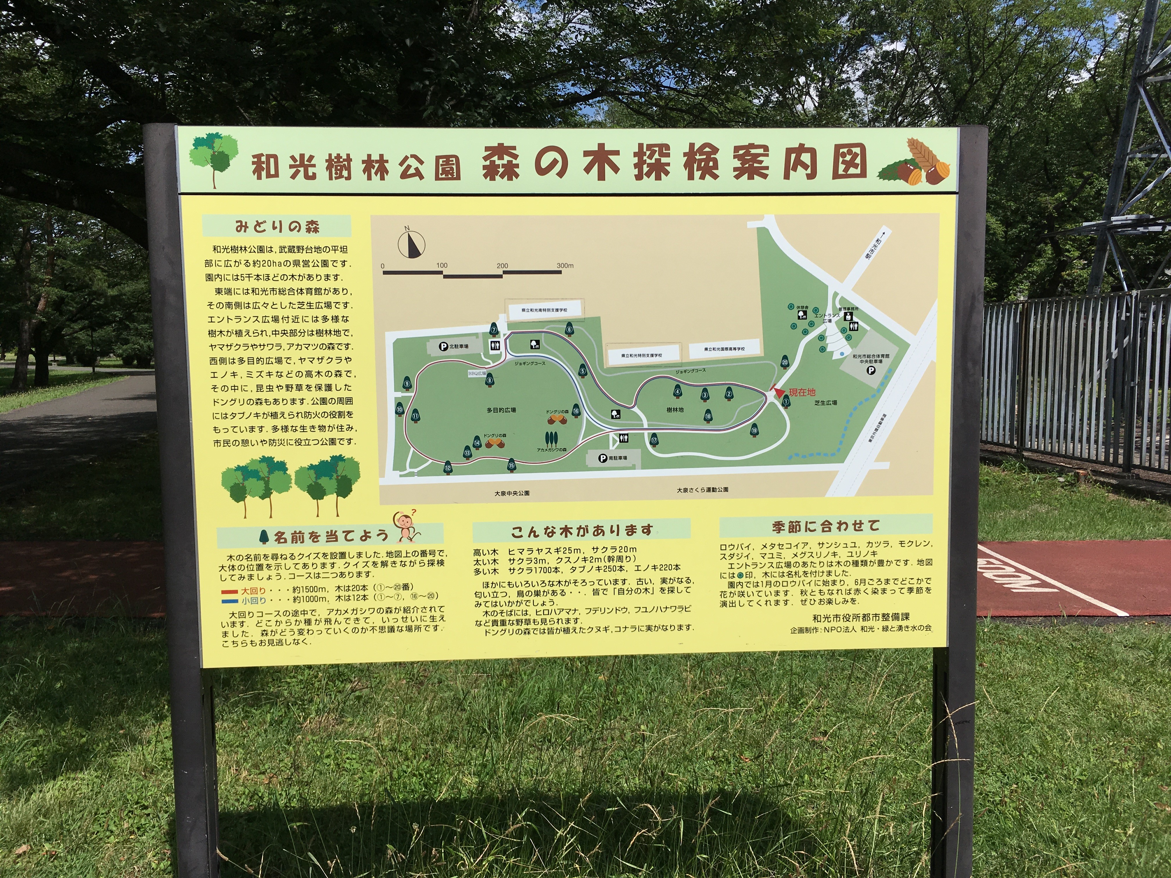 埼玉県営和光樹林公園森の木探検案内図