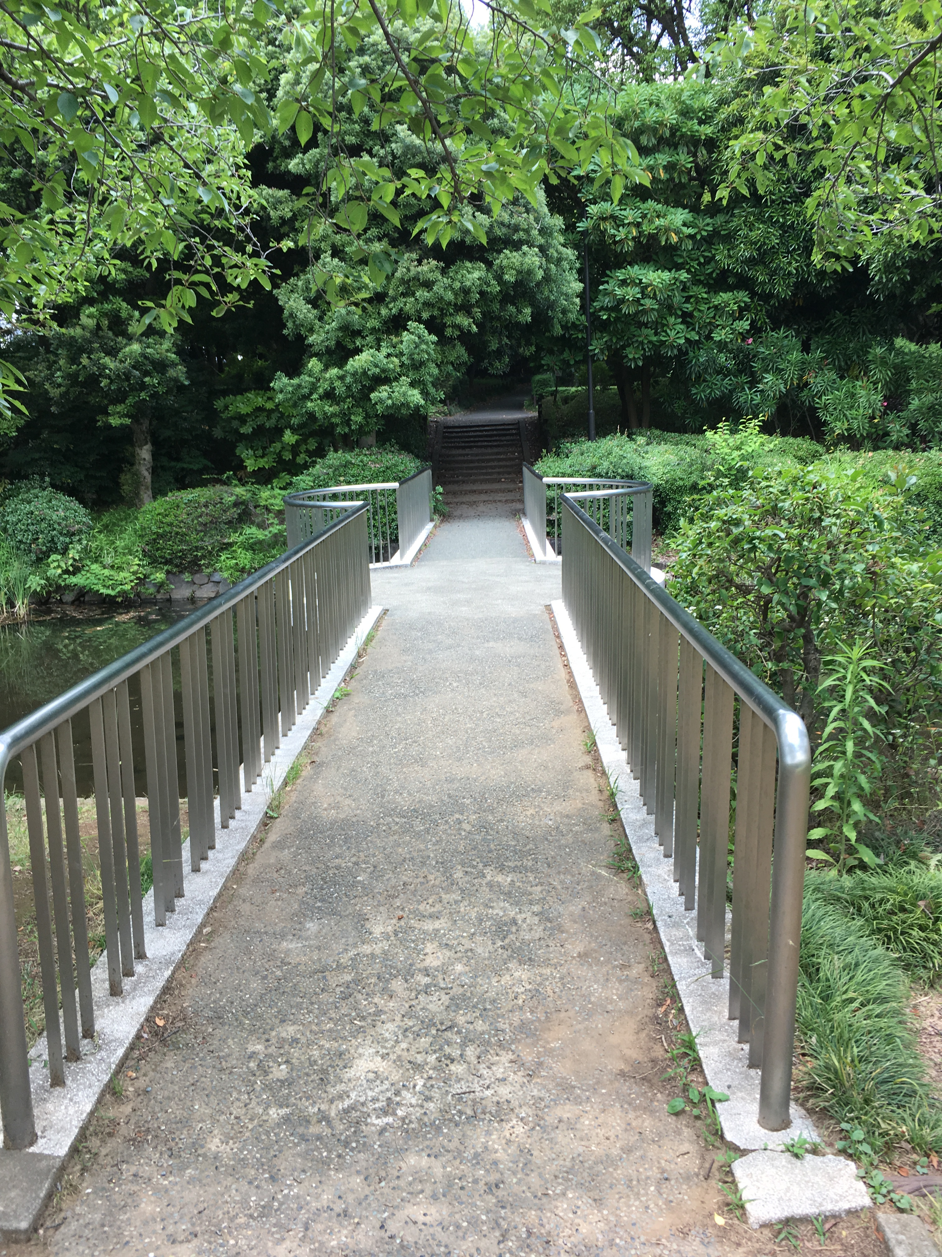 北の丸公園の橋