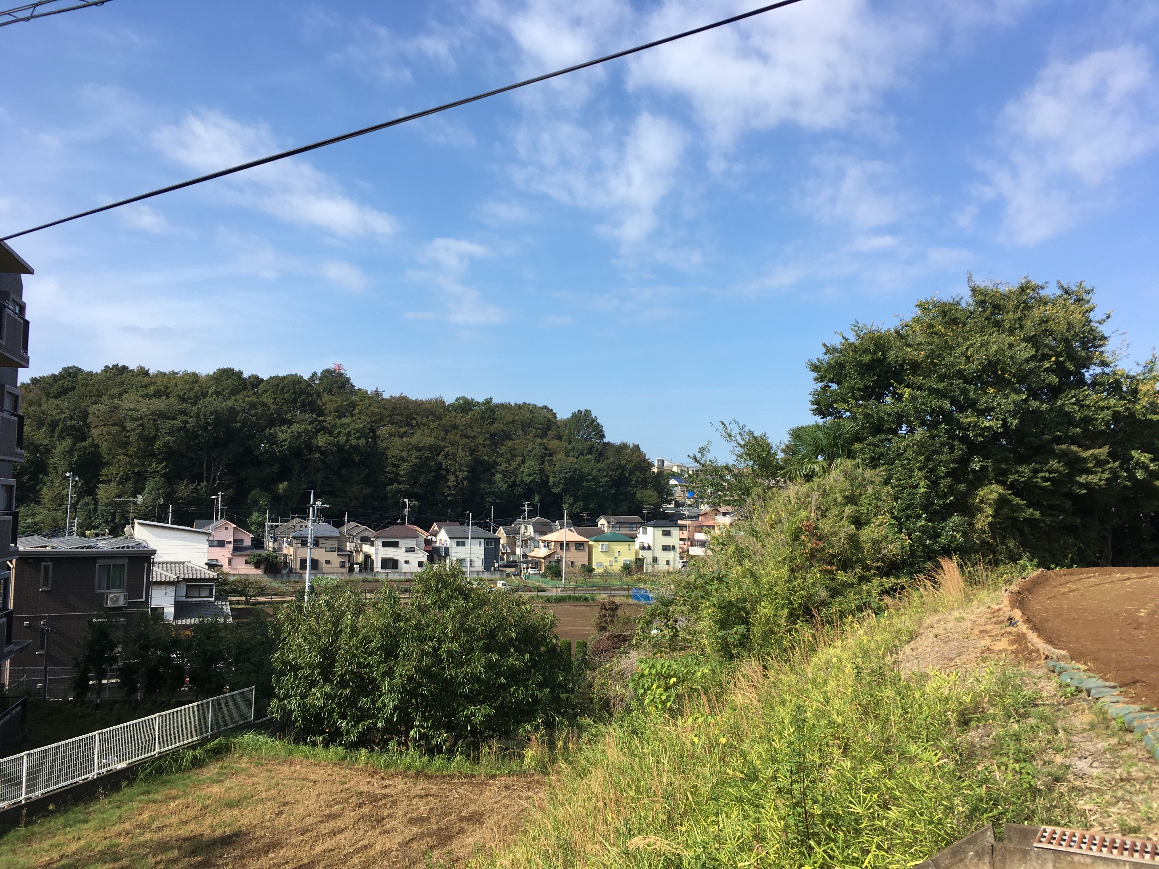 東京外環自動車道側道から「根岸台自然公園」を眺める