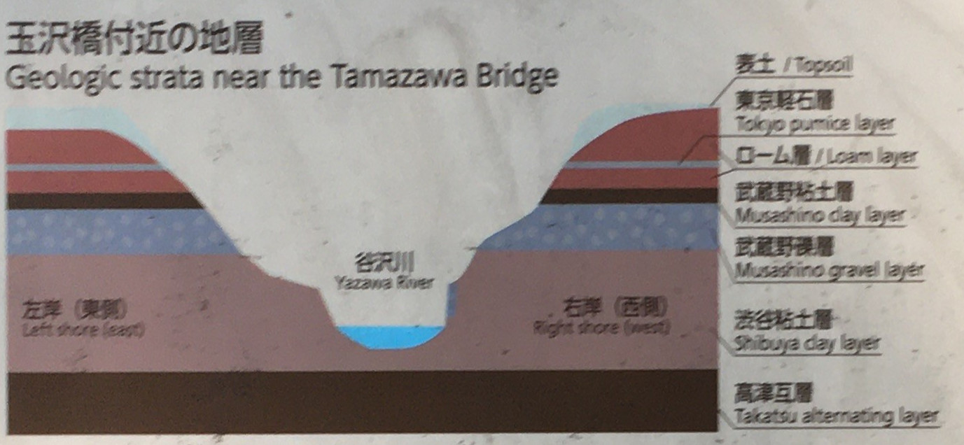 玉沢橋付近の地層